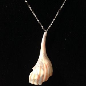 Silver chain shell necklace