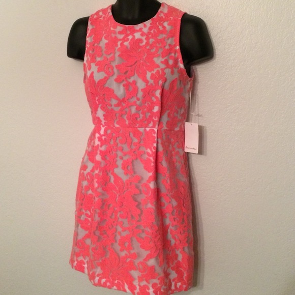 Boutique Dresses & Skirts - Pink and white overlay dress