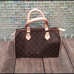 Louis Vuitton Speedy Inspired Bag