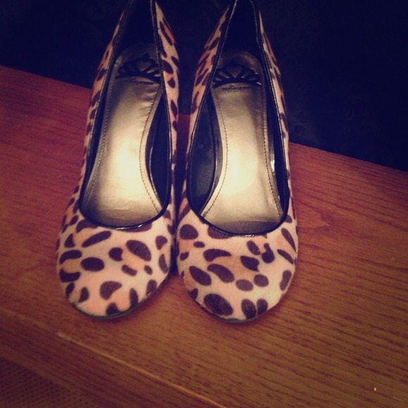 Cheetah heals