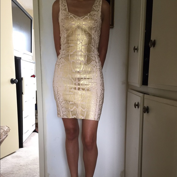 Bodycon Dress.