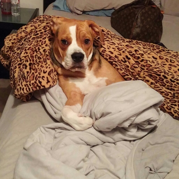 MEET YOUR SELLER/BUYER!! - Picture 4 of 4