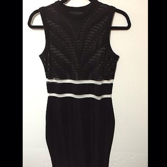 ✨HOST PICK✨ Alexander Wang Zebra mesh hockey dress - Picture 1 of 4