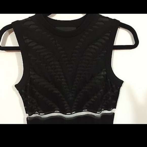 ✨HOST PICK✨ Alexander Wang Zebra mesh hockey dress - Picture 2 of 4