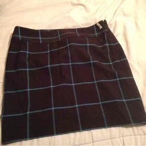 Ann Taylor skirt