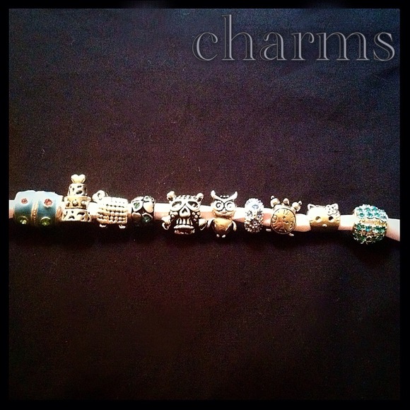 20 Various Pandora Style Charms Beads Spacers