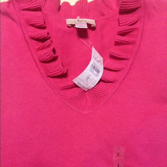 NWT Ann Taylor Loft Sweater size L