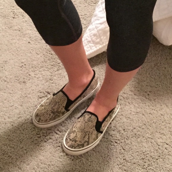 Steve Madden snakeskin shoes - Picture 2 of 2