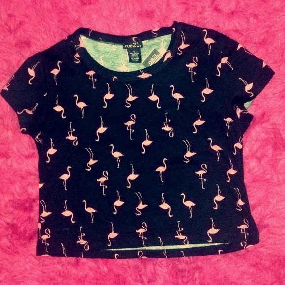 Flamingo crop top🌺