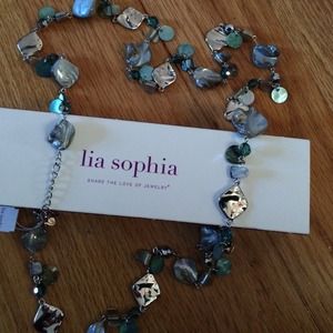 ✨🌟 Beautiful Lia Sophia Necklace