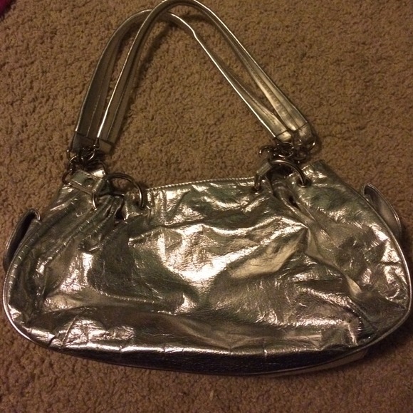 Silver Purse