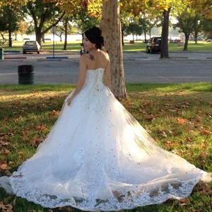 Bridal veil with accessories