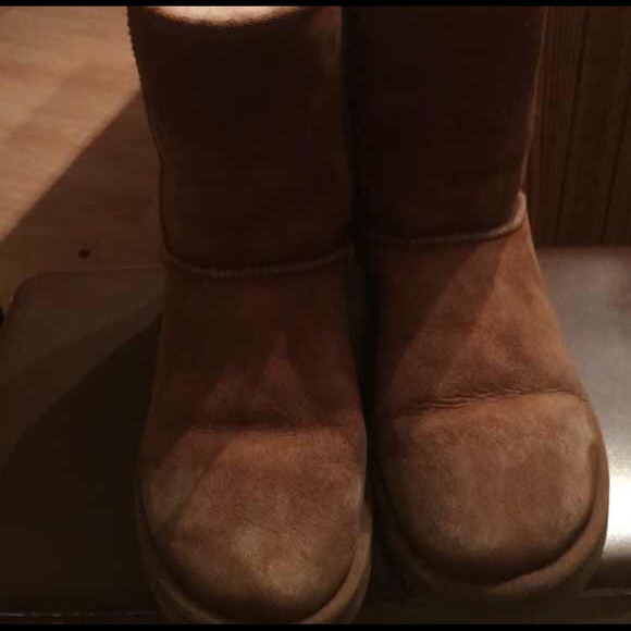 🚫SOLD🚫 Chestnut uggs - Picture 2 of 2