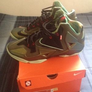 Lebron 11s