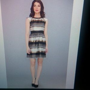 Ivy&blu extended sleeve stripe fit&flare dress -10