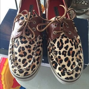 Leopard Sperry's