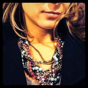 Stella and Dot large bib necklace