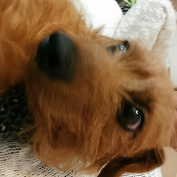 N/A - Picture 2 of 3