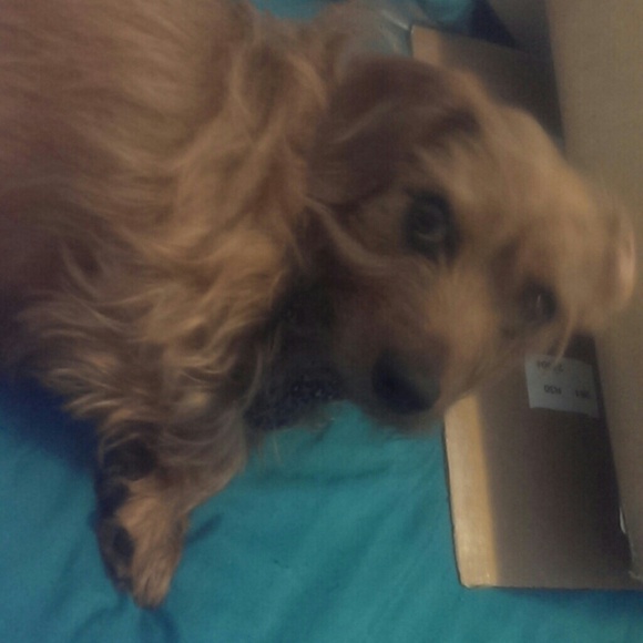 N/A - Picture 3 of 3