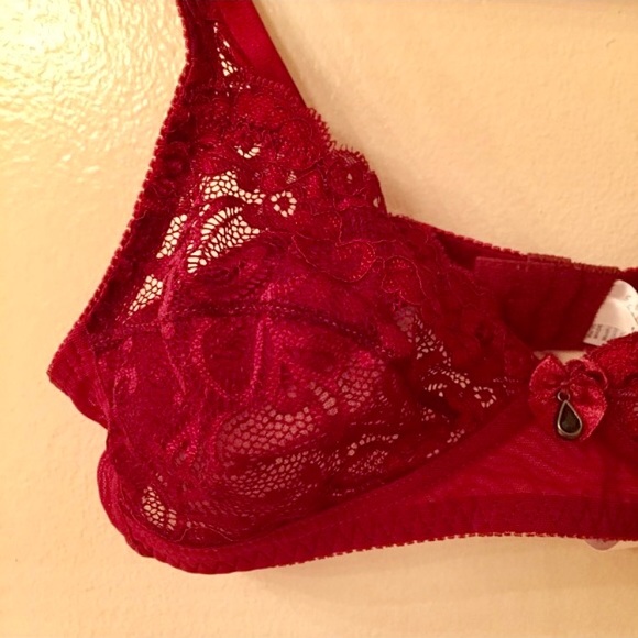 NWT Cami Intimate Lace Bra 36B and Panty Large - Picture 3 of 4