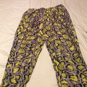 Snake Print Pant