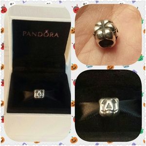 Authentic Pandora Pumpkin Charm