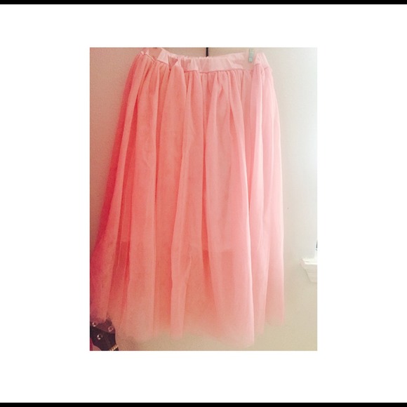 Adult Pink Tulle Skirt