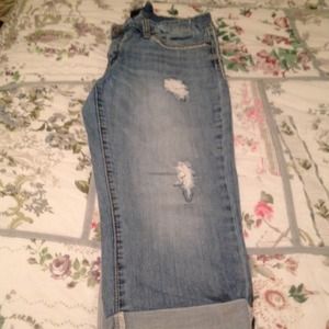 Seven7 jean capris
