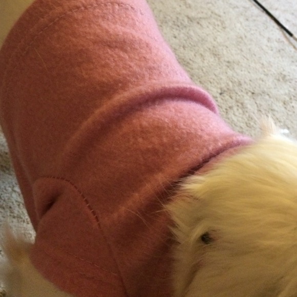 Doggy Half Sweater ! - Picture 2 of 2