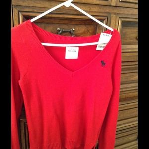 Abercrombie and Fitch Sweater