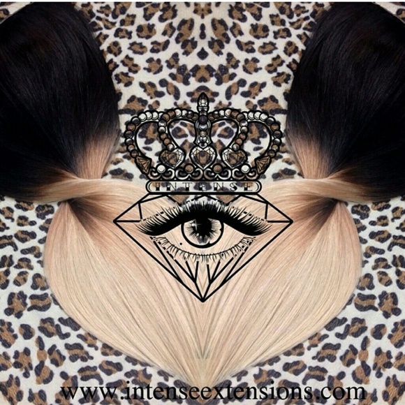 **ON HOLD**  24" Brown to Ash ombre extensions