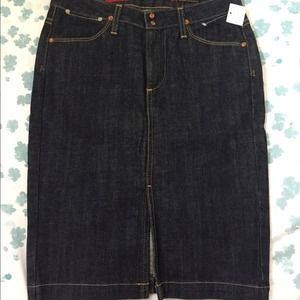 NWT AG Denim Skirt "The Precise"