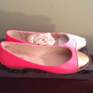 Pink/Gold Flat Heel Shoe