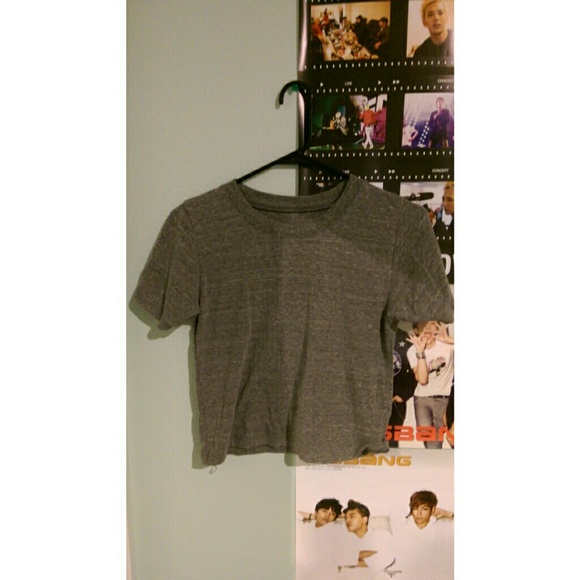 Brandy Melville Gray Shirt