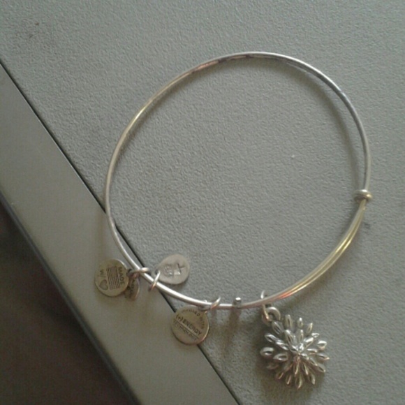 Alex & ani