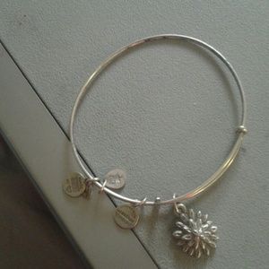 Alex & ani
