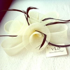 Hair clip or a pin! Never worn!