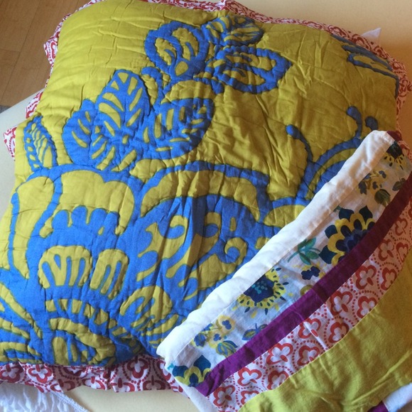Anthropologie Queen Bedskirt and Euro Sham