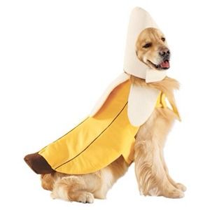 Banana dog  costume