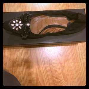 Chloe Pointed Ballet Flats