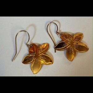Golden starfish earrings
