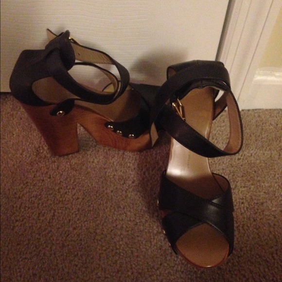 Giuseppe Zanotti's