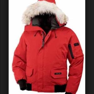 Looking for this Canada goose any color