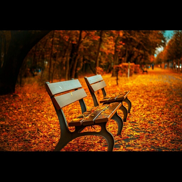 Burnout Lace Cardigan