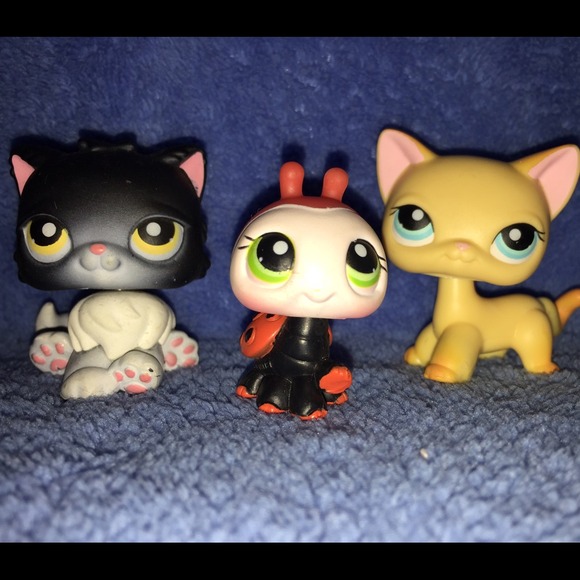 Little Pet shop (set #1)