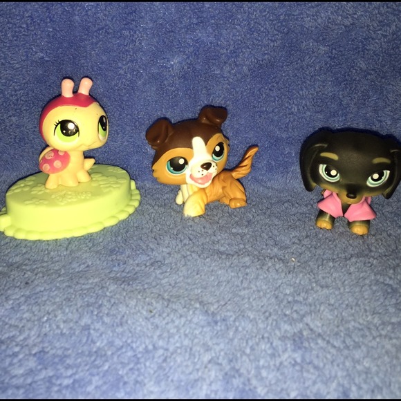 Little pet shop toys (set#6)