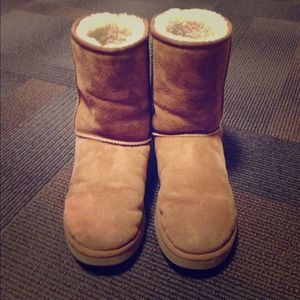 Chestnut Uggs size W10