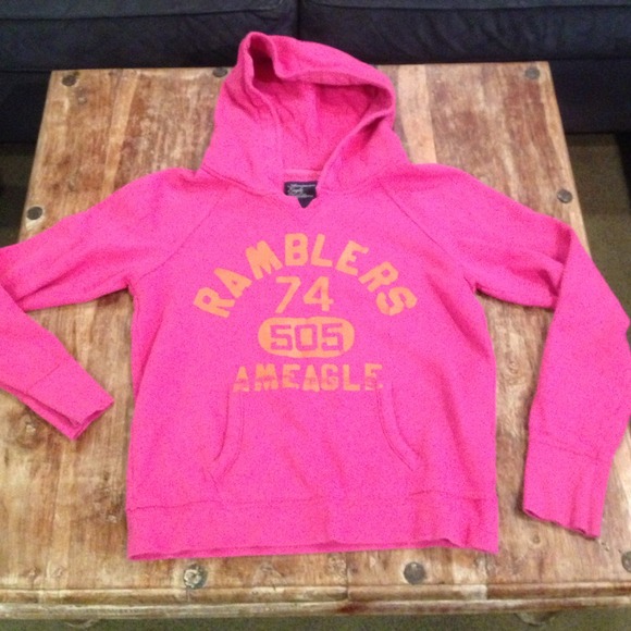 Pink hoodie 💲price drop💲