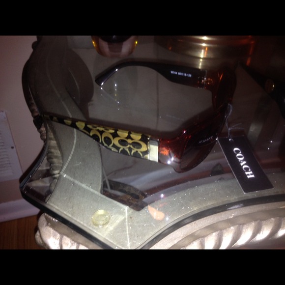 Fashion designer sun glasses. Dark brown.