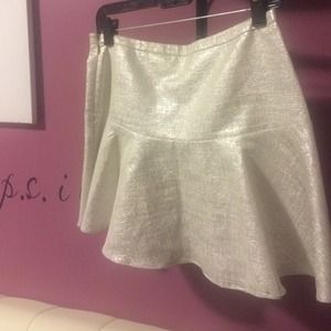 Express Skirt